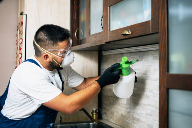 Best Best Pest Control Companies  in Lake Sarasota, FL