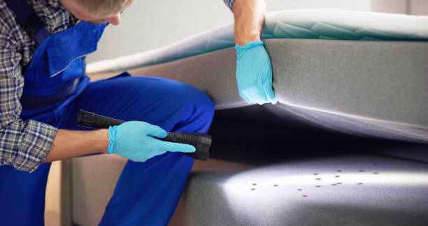 Best Pest Control Near Me  in Lake Sarasota, FL