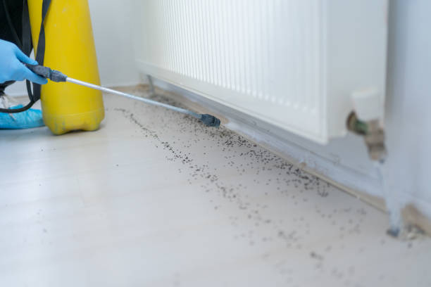 Best Pest Control Treatment  in Lake Sarasota, FL
